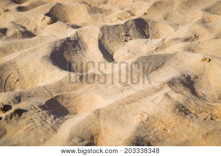 Fine Beach Sand In The Summer Sun