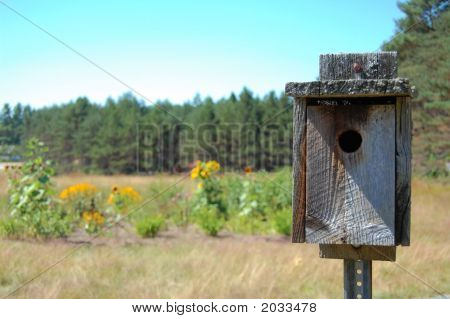Birdhouse In Field