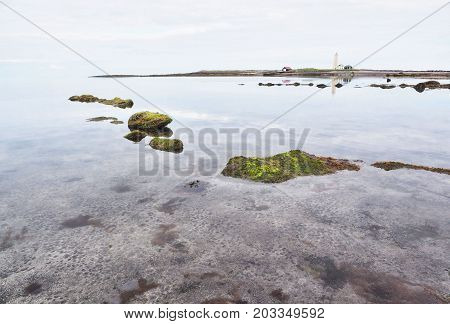 Low tide and exposed green algae on Grotta island Reykjavik Iceland