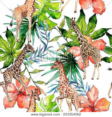 Exotic giraffe wild animal pattern in a watercolor style. Full name of the animal: camelopard. Aquarelle wild animal for background, texture, wrapper pattern or tattoo.