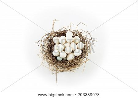 Many eggs in a single nest, isolated on white, horizontal aspect