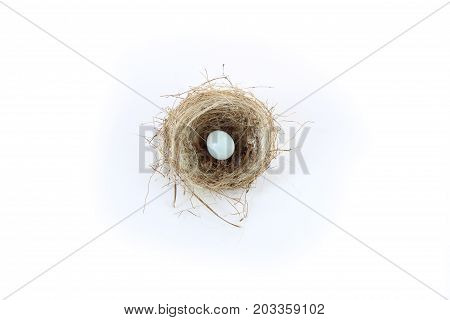 Single egg in a bird nest, isolated on white, horizontal aspect