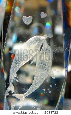 แก้วปลาโลมา