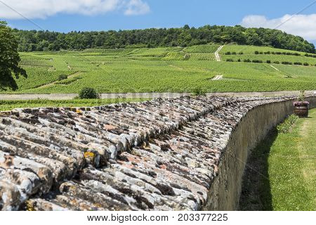 Vineyards at Oger wit great wall around vineyard near Epernay in the Champagne districht France.