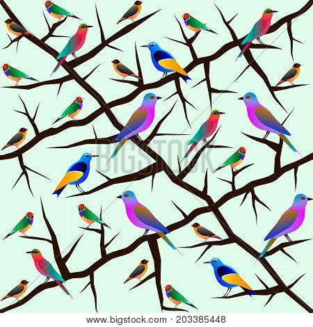 Seamless pattern colorful birds on branches green background