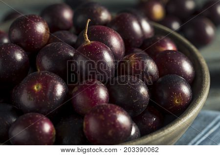 Homemade Sweet Muscadine Grapes