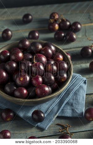 Homemade Sweet Muscadine Grapes