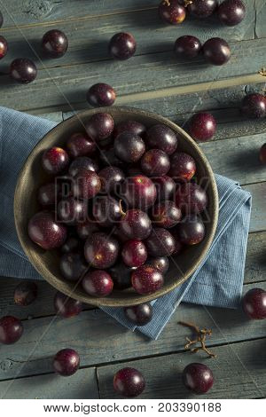 Homemade Sweet Muscadine Grapes