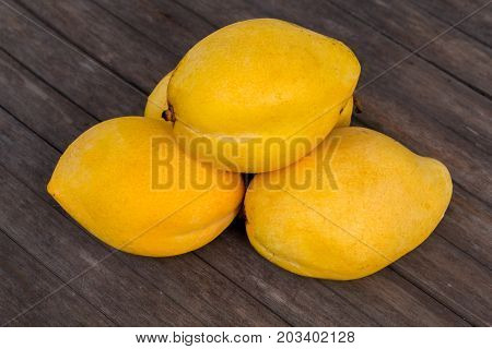 Whole yellow mango on wooden background. Bunch of tropical fruits. Oval yellow mango pile. Sweet dessert or vegetarian food. Exotic mango closeup photo. Ripe exotic fruit mango. Delicious juicy fruit