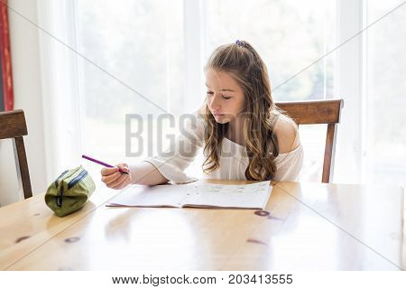 A cute teen girl doing homework at home