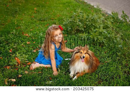 Cute little girl with a dog Sheltie breed. Best friends forever. Dog devotion. Girl and domestic pet sitting on the lawn in the park