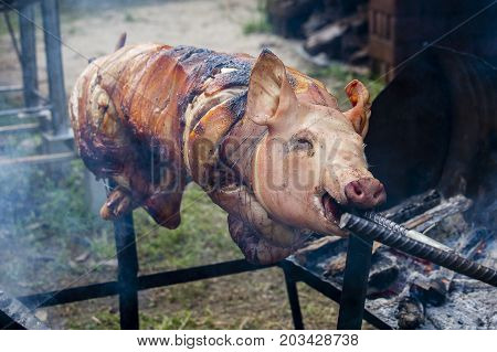 Roasting piglet grilled pig at street food market in Koh Phangan Thailand. Close up