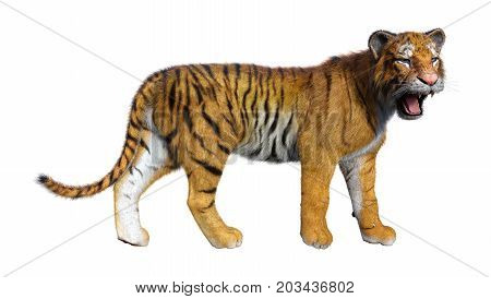 3D rendering of a big cat tiger isolated on white background