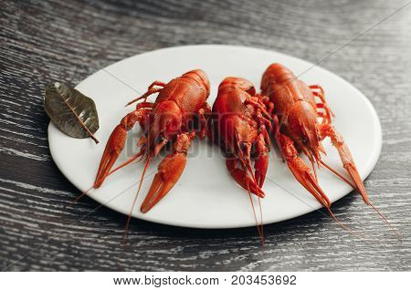 Crayfish On A White Plate On A Dark Background