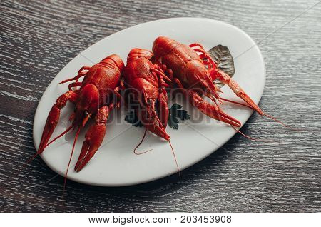 Crayfish On A White Plate On A Dark Background
