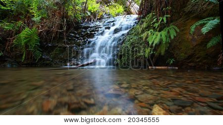 Cachoeira na floresta de sequóias