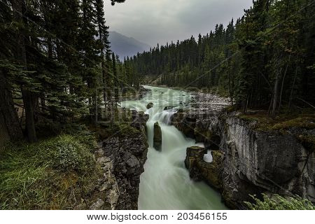 the Sunwapta Falls in Jasper National Park