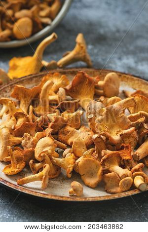 Heap of fresh uncooked forest mushrooms chanterelle in old pan over gray texture background.