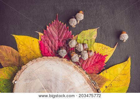 Autumn Leaves Over Wooden Background With Copy Space