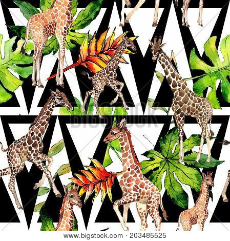 Exotic giraffe wild animal pattern in a watercolor style. Full name of the animal: camelopard. Aquarelle wild animal for background, texture, wrapper pattern or tattoo.