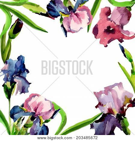 Wildflower iris flower frame in a watercolor style. Full name of the plant: flower-de-luce. Aquarelle wild flower for background, texture, wrapper pattern, frame or border.