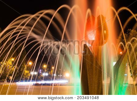 A close-up picture of beautiful illuminated city fountain A Tulip Flower at fall evening in Pokrov town in Ukraine, 2017