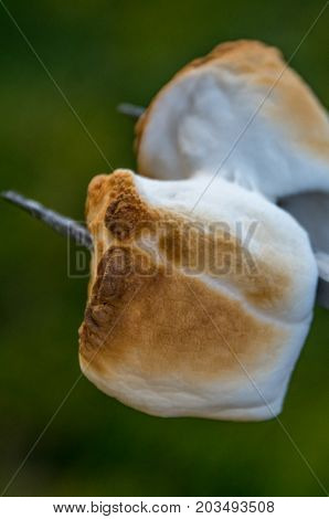 Close-up of toasted marshmallows on a summer day