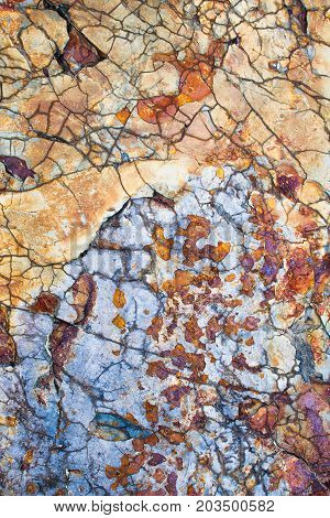 A close up image of a rocky texture and background