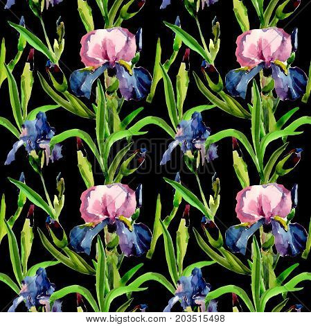 Wildflower iris flower pattern in a watercolor style. Full name of the plant: flower-de-luce. Aquarelle wild flower for background, texture, wrapper pattern, frame or border.