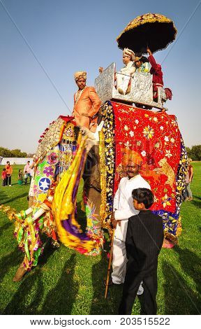 People And Elephants During A Colorful Festival