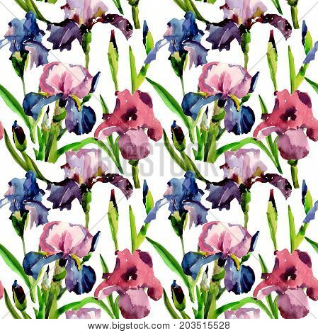 Wildflower iris flower pattern in a watercolor style. Full name of the plant: flower-de-luce. Aquarelle wild flower for background, texture, wrapper pattern, frame or border.