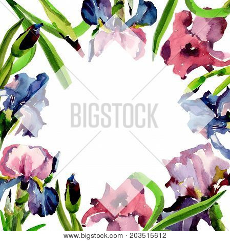 Wildflower iris flower frame in a watercolor style. Full name of the plant: flower-de-luce. Aquarelle wild flower for background, texture, wrapper pattern, frame or border.