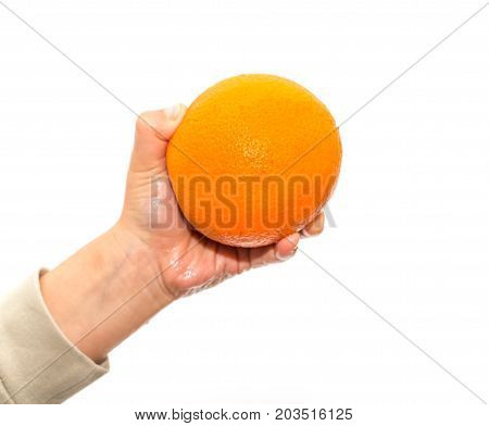 orange in a hand on a white background