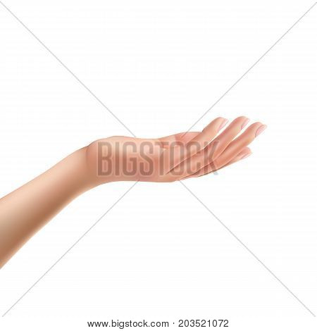 Facing up womans hand realistic vector illustration isolated on white background.  Female open palm up in getting or receiving something gesture, holding, showing, presenting product business concept
