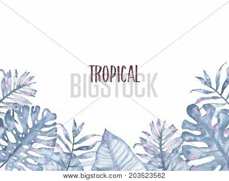 Watercolor hand drawn tropical plants background. Jungle exotic indigo palm leaves illustration. Botanical art