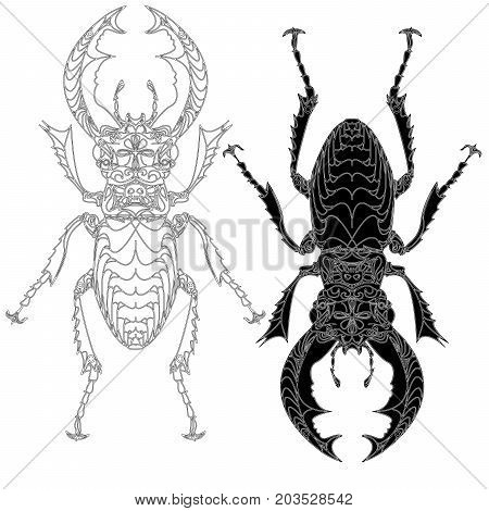 Beetle. Hand Drawn Sketch.