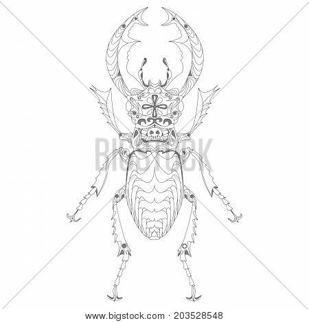 Beetle. Hand Drawn Sketch.