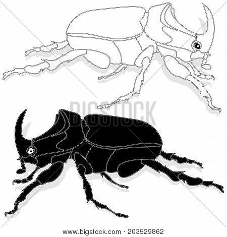Beetle. Hand Drawn Sketch.