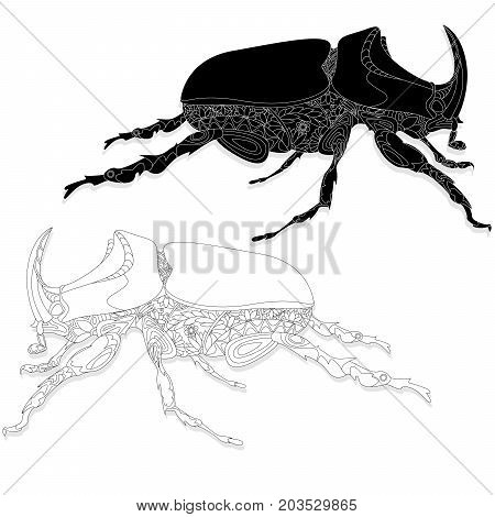 Beetle. Hand Drawn Sketch.