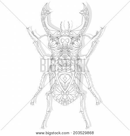 Beetle. Hand Drawn Sketch.