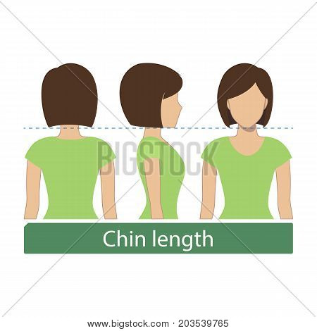 Hair length for haircuts and hairstyles - chin length. Vector.