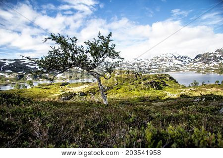 View Of Nature In Norway