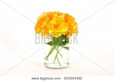 yellow roses flowers bouquet in vase. soft filter.
