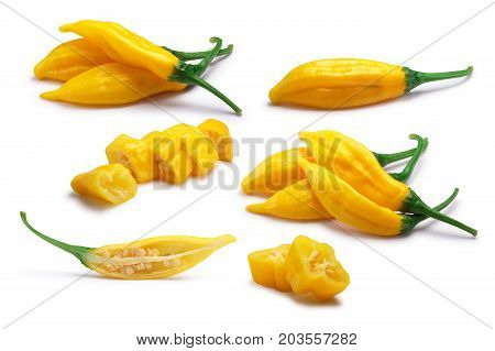 Aji Lemon Drop Peppers, C.baccatum, Paths