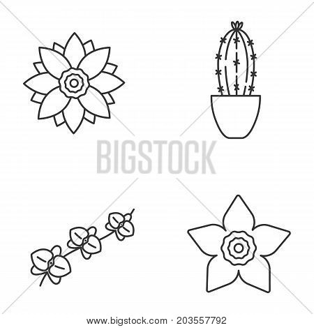 Flowers linear icons set. Lotus, narcissus, orchid, branch, cactus in flowerpot. Thin line contour symbols. Isolated vector outline illustrations