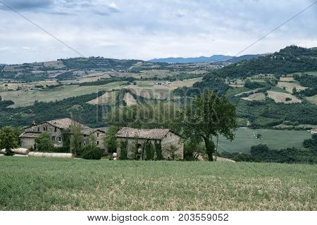 Summer landscape along the road from Serramazzoni to Marano sul Panaro (Modena Emilia Romagna Italy) at summer