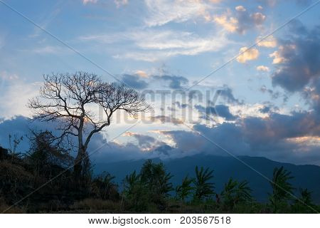 Tree Silhouette And Colorful Sunset And Mountains On The Background, Lombok, West Nusa Tenggara, Ind