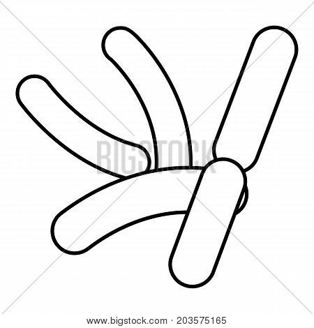 Bacilli icon. Outline illustration of bacilli vector icon for web design isolated on white background