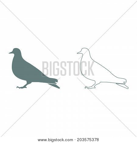 Dove It Is Icon .