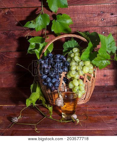 grape juice in a glass on a table with grapes and vine